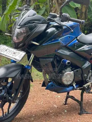Bajaj Pulsar NS160 2017 Motorbike (Used)