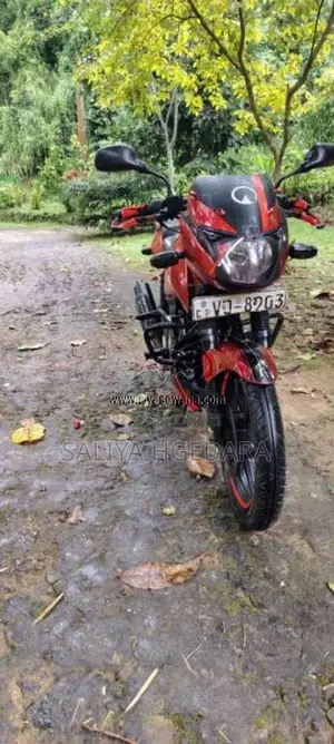 Bajaj Pulsar 2009 Motorbike (Used)