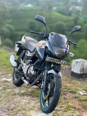 Bajaj Pulsar 2016 motorcycle (Used)