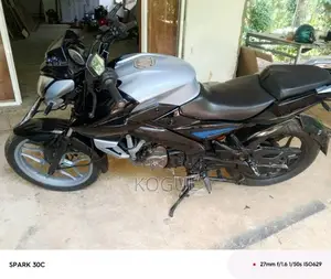Bajaj Pulsar NS150 2016 Motorbike (Used)