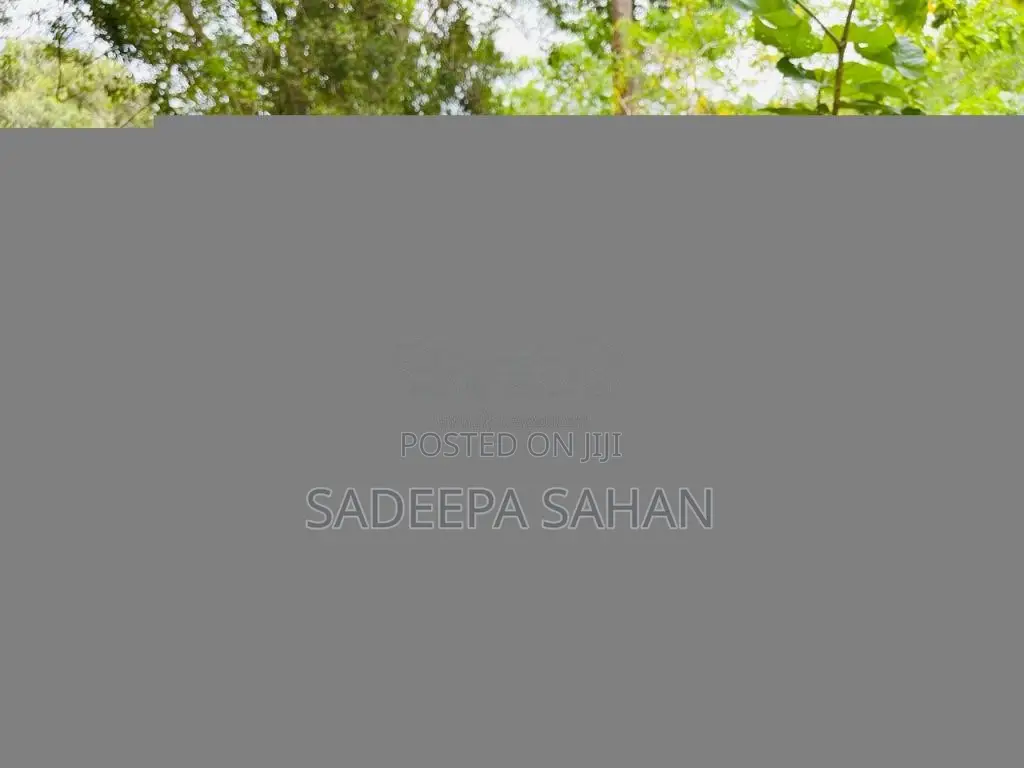 Bajaj Pulsar 2018 Motorbike (Used)