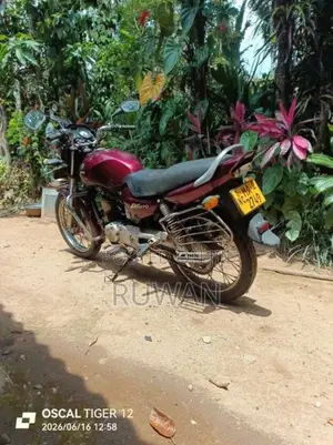 Yamaha Libero 2022 Motorbike (Used)