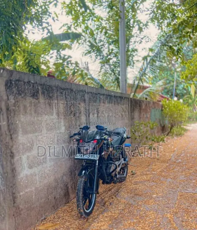 Bajaj Pulsar 2011 Motorbike (Used)
