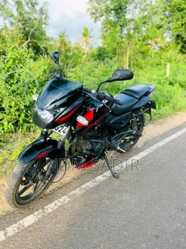 Bajaj Pulsar 150 2019 Motorbike (Used)