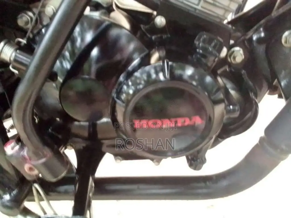 Honda CD 110 Dream 2019 Motorbike (Used)