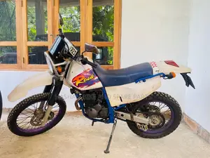 Yamaha TTR 250 2005 Motorbike (Used)