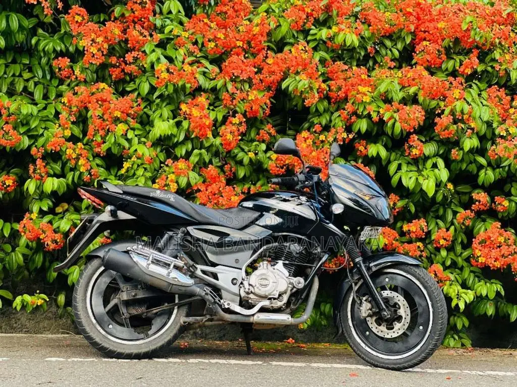 Bajaj Pulsar 2016 Motorbike (Used)