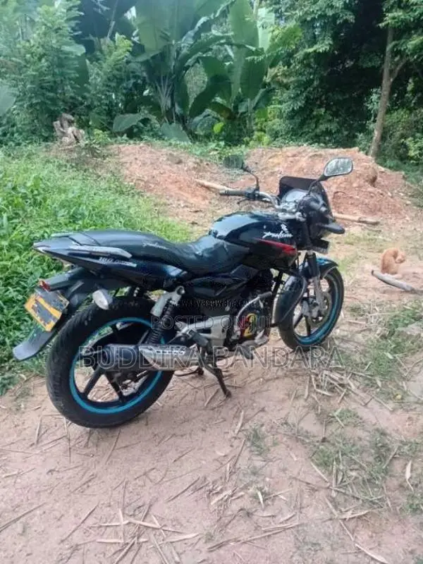 Bajaj Pulsar 180 2008 Motorbike (Used)