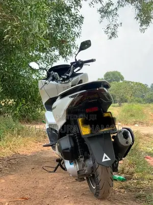 Honda Pcx 2024 Motorbike (Used)
