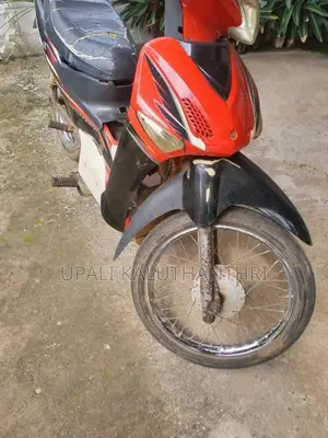 Other Electric 2010 Motorbike (Used)