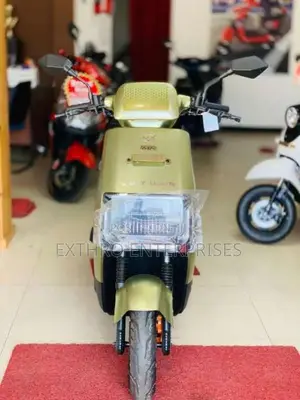 Other E S18 2026 Motorbike Brand New