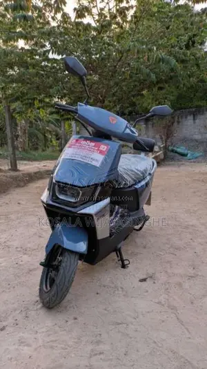 Yadea Ruibin 2025 Motorbike Brand New
