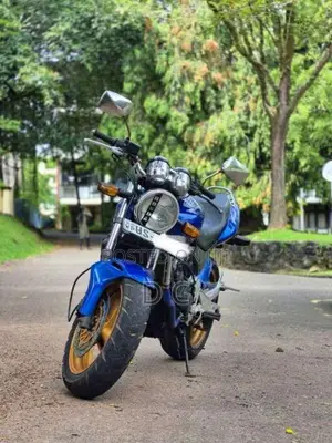 Honda Hornet Ch110 2009 motorcycle (Used)