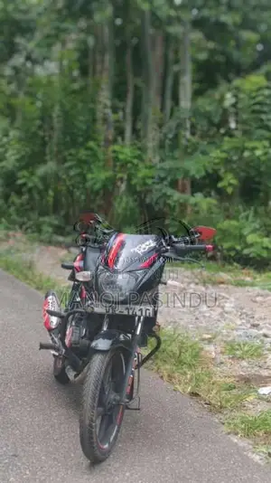 Bajaj Pulsar 2009 Motorbike (Used)