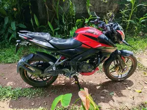 Bajaj Pulsar NS160 2017 Motorbike (Used)