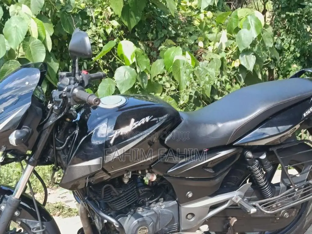 Bajaj Pulsar 2019 Motorbike (Used)