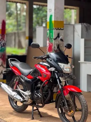 Hero-Honda Hunk 2008 Motorbike (Used)