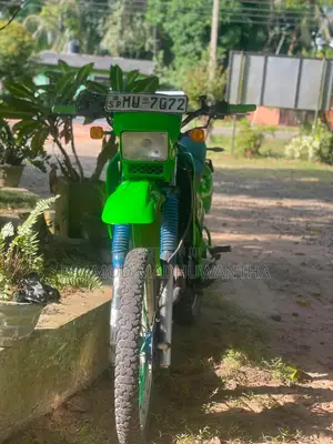 Kawasaki KDX 2001 Green