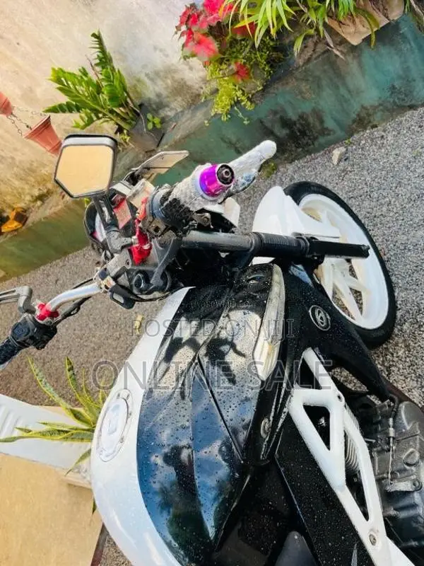 Demak Dzm 200 2014 Motorbike (Used)