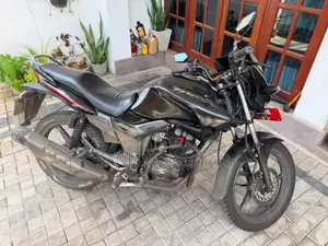 Hero-Honda Hunk 2010 Motorbike (Used)