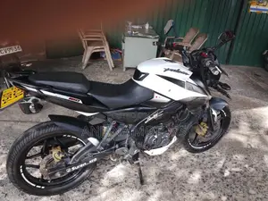 Bajaj Pulsar NS160 2019 Motorbike (Used)