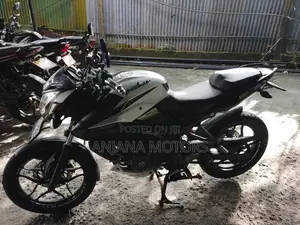 Bajaj Pulsar NS160 2019 Motorbike (Used)