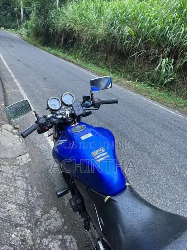 Honda Hornet 1996 Motorbike (Used)