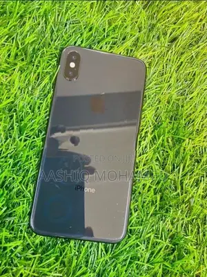 Apple iPhone X 256GB (Used)