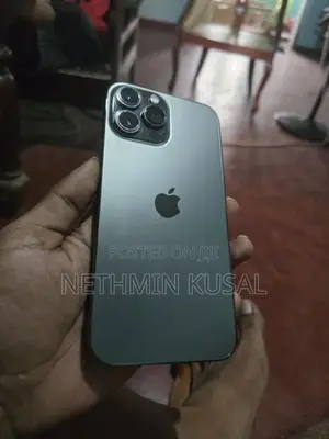 Apple iPhone 13 Pro Max (Used)