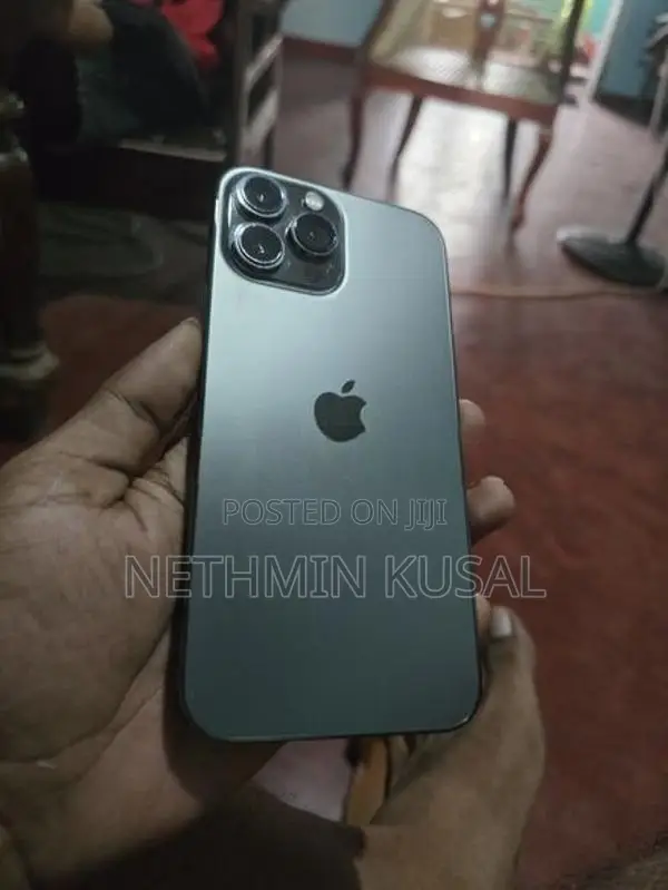 Apple iPhone 13 Pro Max (Used)