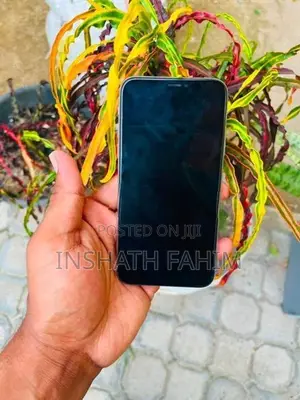 Apple iPhone X (Used)