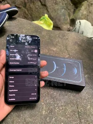 Apple iPhone 12 Pro (Used)