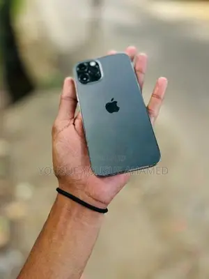Apple iPhone 12 Pro (Used)