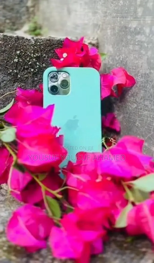 Apple iPhone 12 Pro (Used)