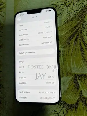 Apple iPhone 13 Pro Max 256GB (Used)