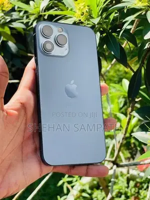 Apple iPhone 13 Pro Max diliwery available (Used)