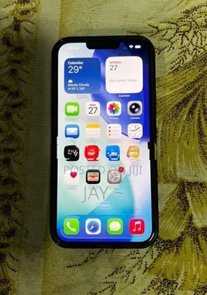 Apple iPhone 13 Pro Max 256GB (Used)
