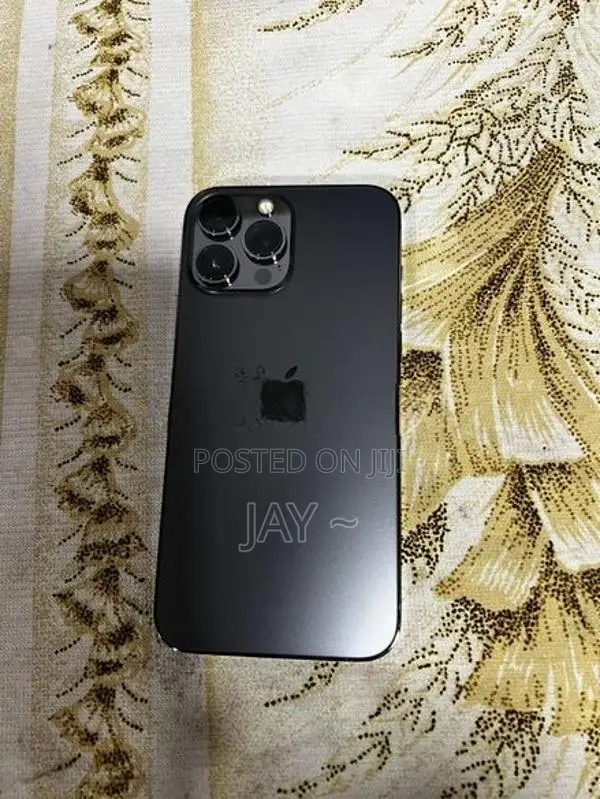Apple iPhone 13 Pro Max 256GB (Used)