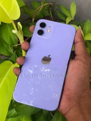 Apple iPhone 12 (Used)