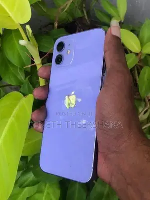 Apple iPhone 12 (Used)
