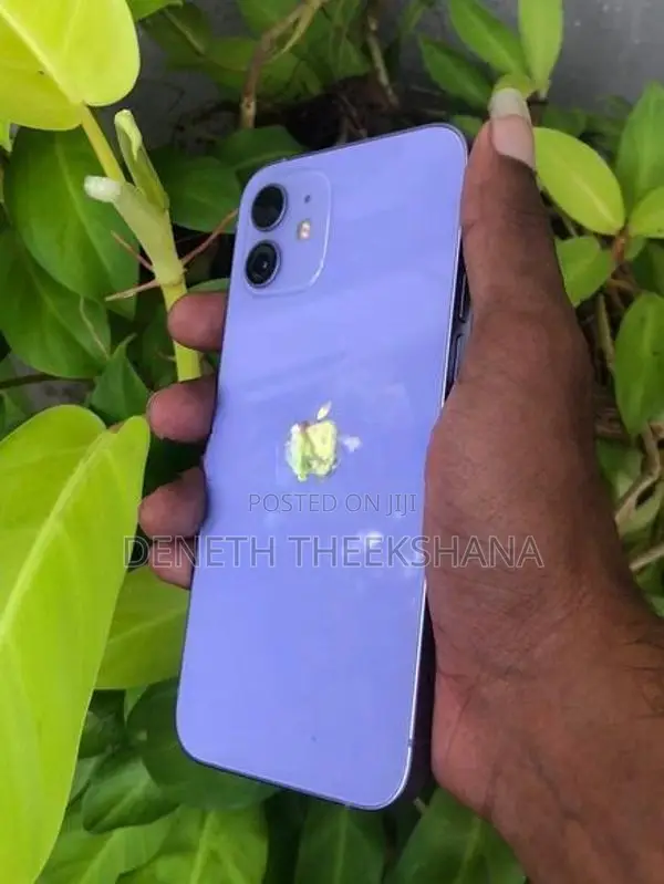 Apple iPhone 12 (Used)