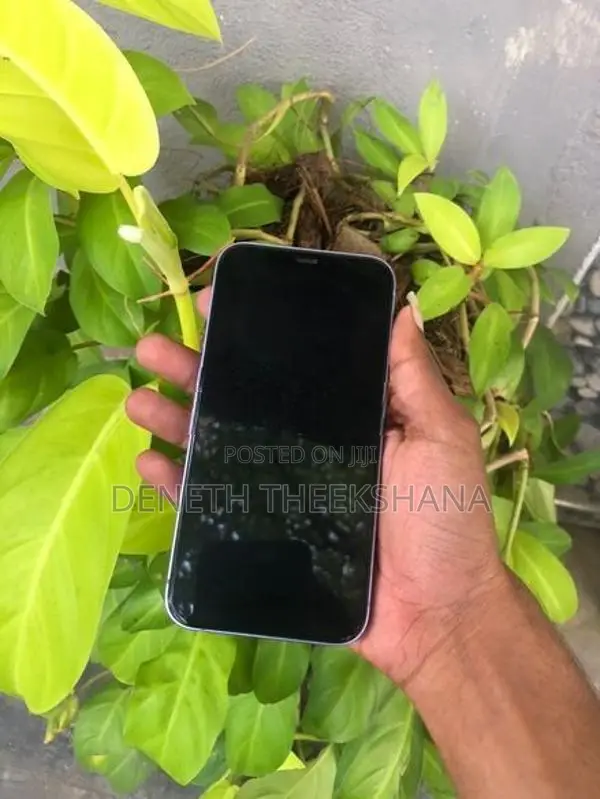 Apple iPhone 12 (Used)