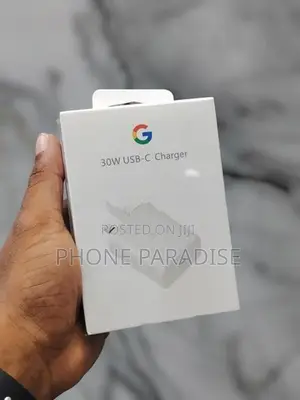 Google 30 W Adapter