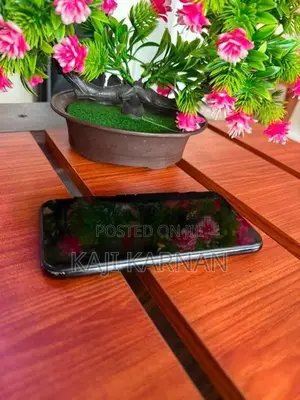 Apple iPhone X (Used)