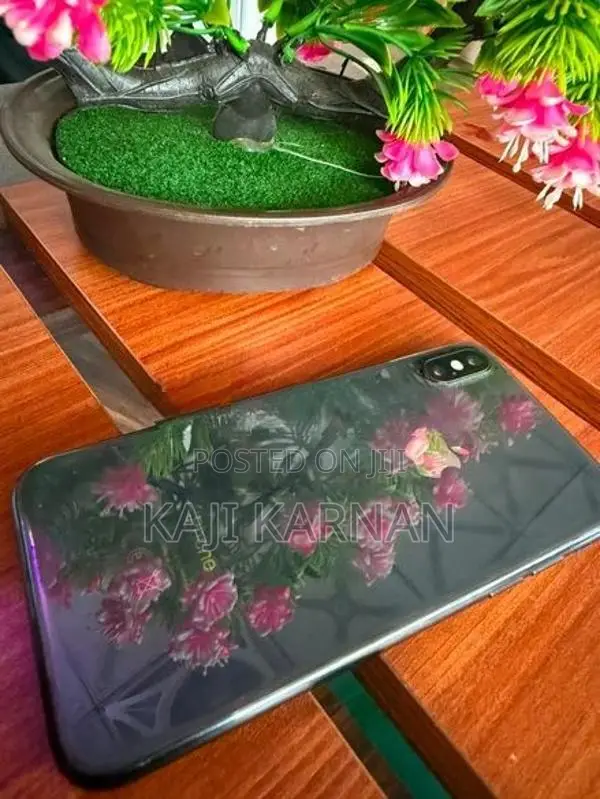 Apple iPhone X (Used)