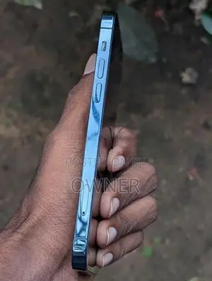Apple iPhone 12 Pro (Used)