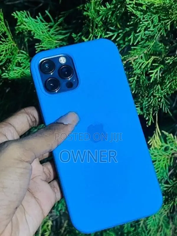 Apple iPhone 12 Pro (Used)