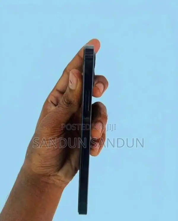 Apple iPhone 12 Pro (Used)