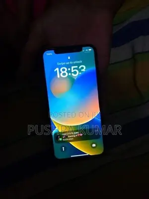 Apple iPhone X (Used)