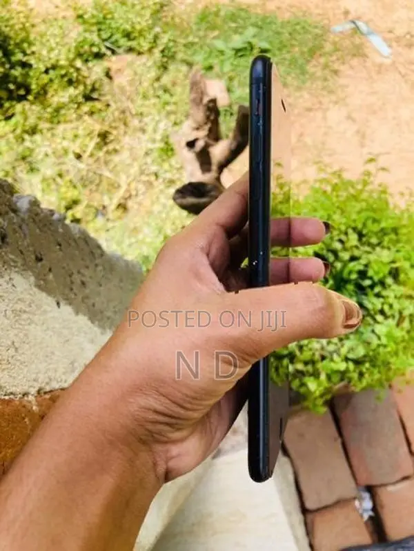 Apple iPhone 7 Plus (Used)